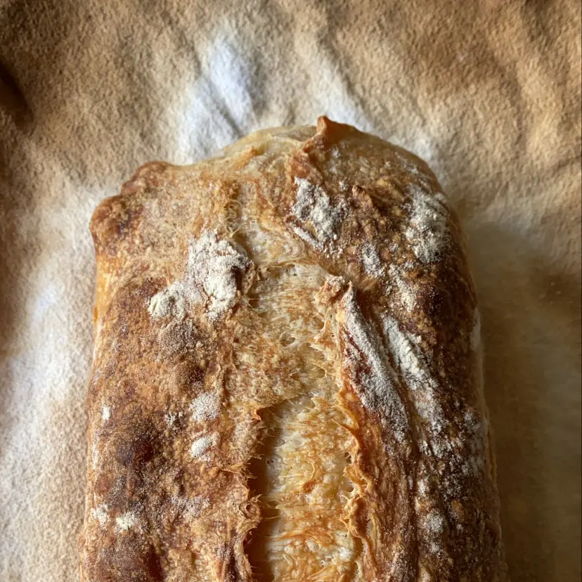 creation thumb for Sourdough Bread