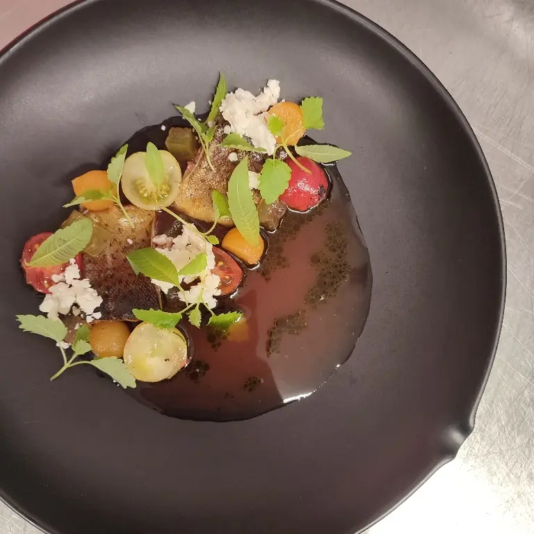 creation thumb for Trout, melon, tomatos, ricotta, lemon verbena
