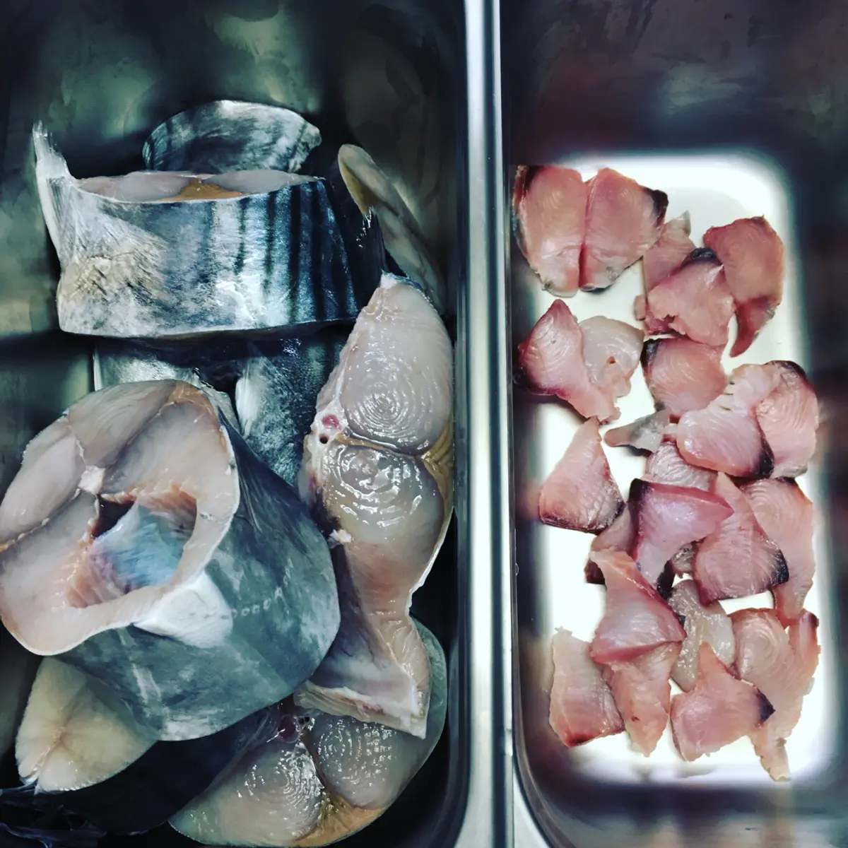 creation thumb for Cured bonito (3 day in salt)