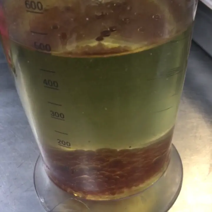 creation thumb for Creating caviar from Kalamata olives