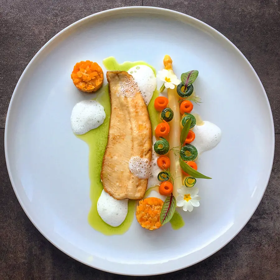 creation thumb for • rainbow trout roasted on the skin • red lentils • wild garlic oil • elderberry champagne foam • asparagus • vegetables with beurre noisettes •
