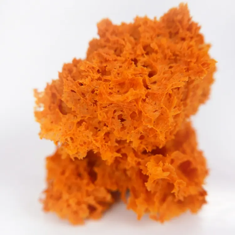 creation thumb for Crispy tomato sponge