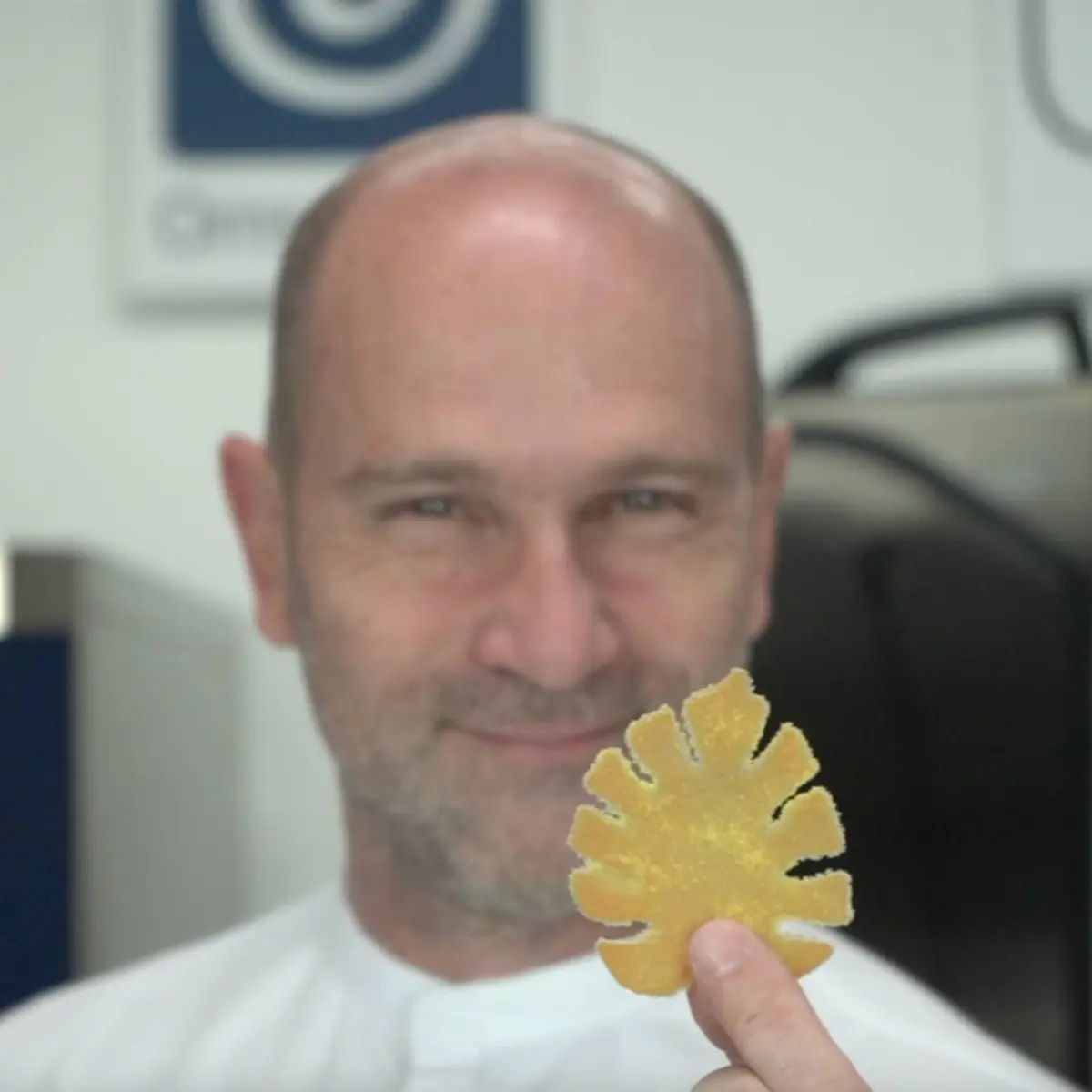 creation thumb for Crispy Pumpkin Leaf