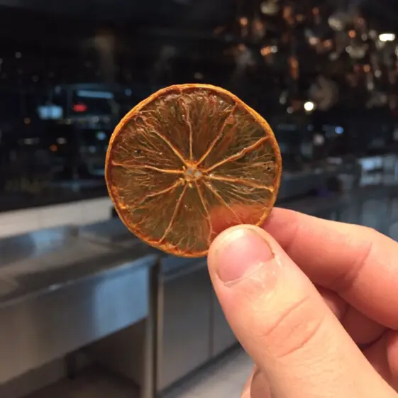 creation thumb for Dried lemon singed by kino