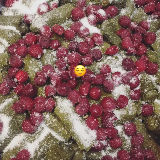 creation thumb for stuffed leaves with sour cherry