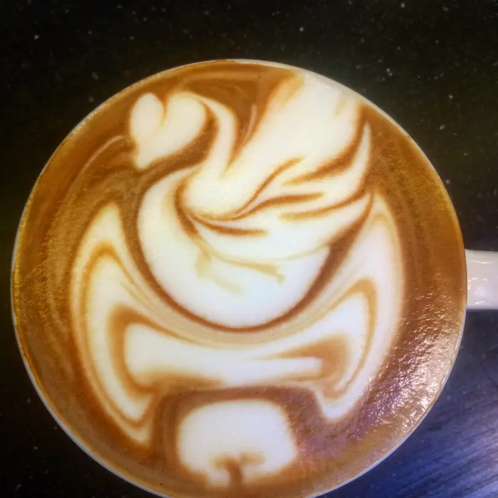 creation thumb for Inverted swan