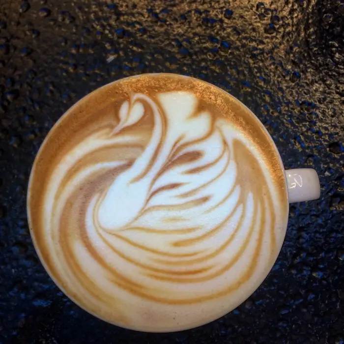 creation thumb for Swan latteart