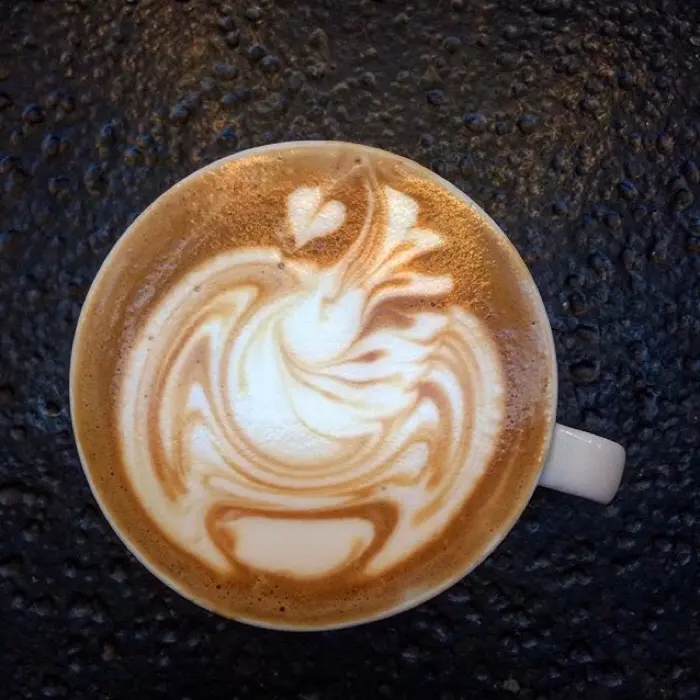 creation thumb for Inverted swan