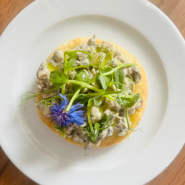 creation thumb for Mushroom Tartar