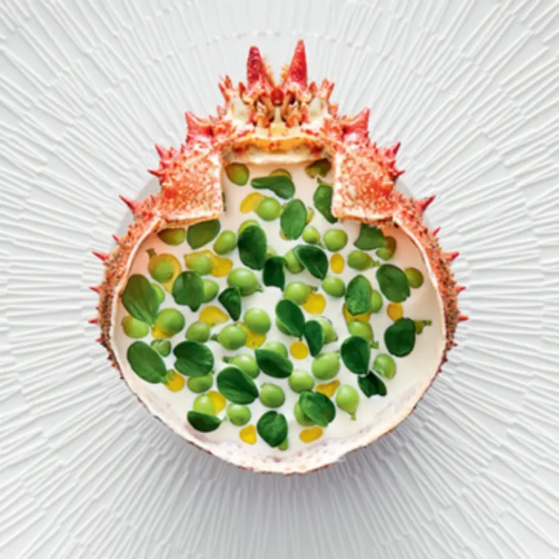 creation thumb for Crab and Basil Vichyssoise