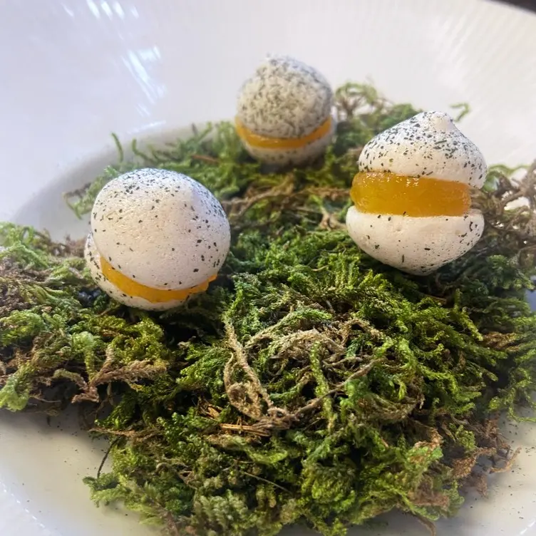 creation thumb for Gluten-free Macarons with Orange and Pine Needle Gel