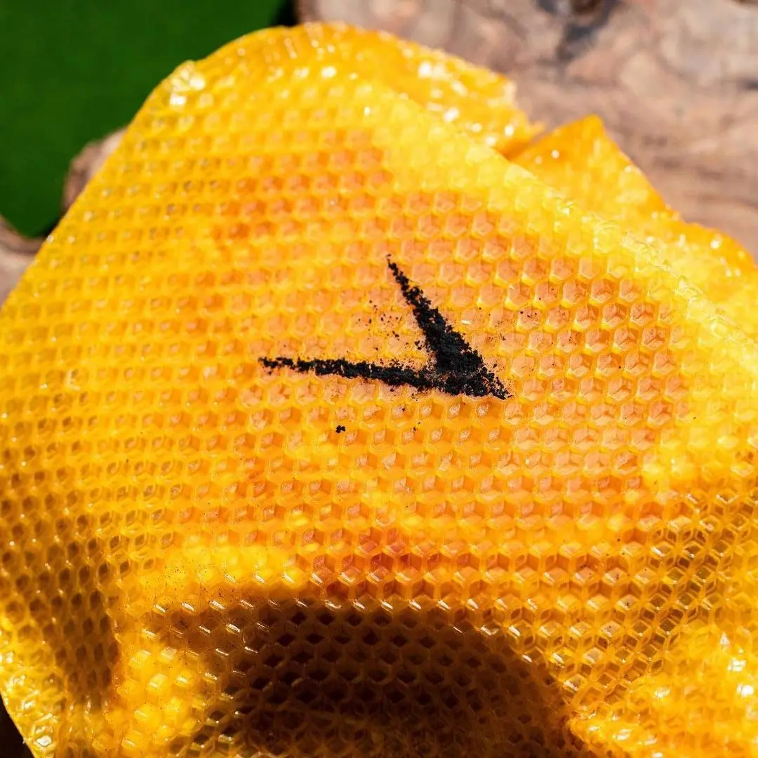 creation thumb for Honey-fermented veal chop matured in signed beeswax