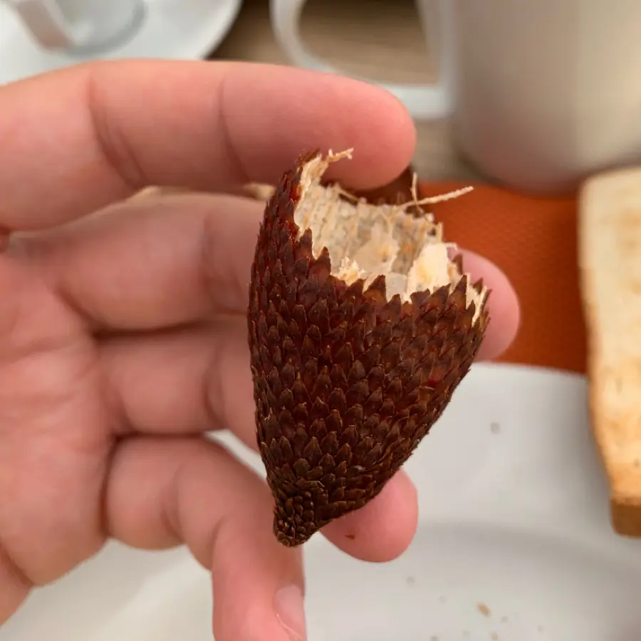 creation thumb for You know this fruit? -the amazing Salacca zalacca- what a flavour!