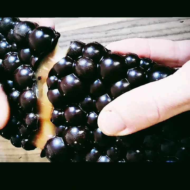 creation thumb for Dark chocolate, salted caramel and rosmarin