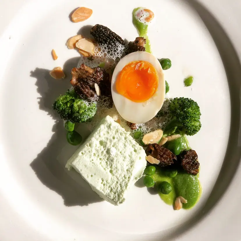 creation thumb for Broccoli Marshmallow with Morels