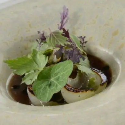 creation thumb for Oxtail, clams, marinara sauce and onion