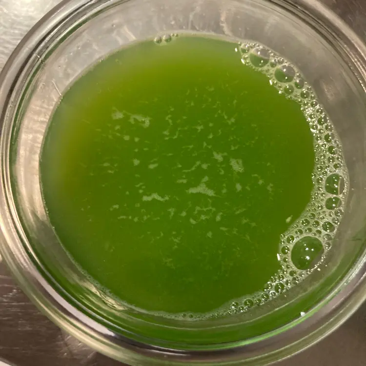 creation thumb for Cucumbers 🥒 Dashi for cucumber gel