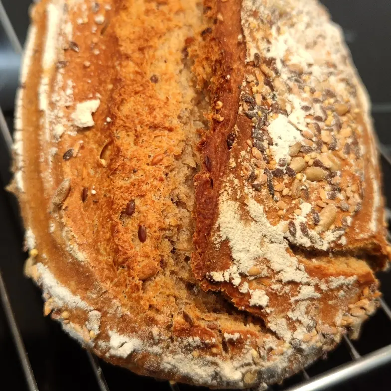 creation thumb for SEMI-INTEGRAL SOURDOUGH BREAD