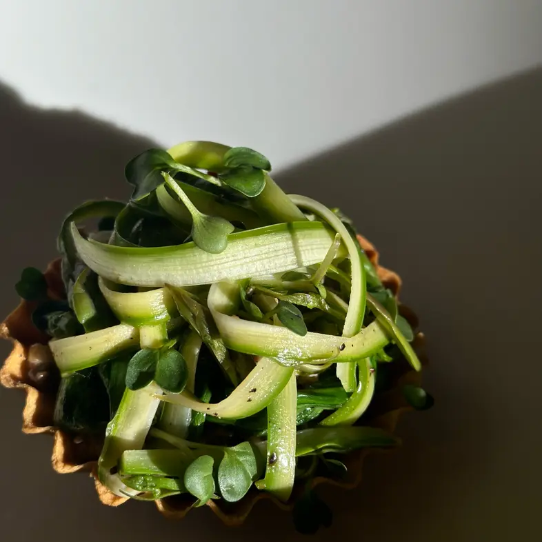 creation thumb for dough with herbs, mushroom duxel, caramelized onion, wild ga