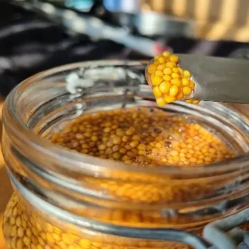 creation thumb for Pickled mustard seed