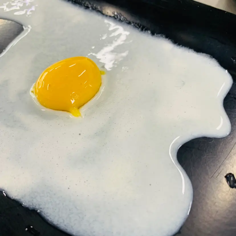 creation thumb for False Fried Egg