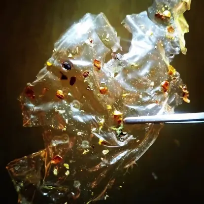 creation thumb for Glass Potato Chip