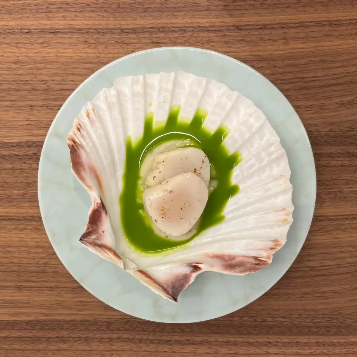 creation thumb for coquille Saint-Jacques