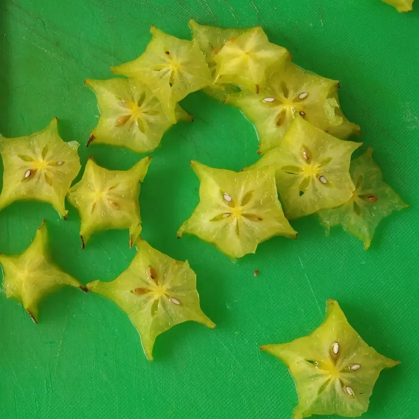 creation thumb for Averrhoa carambola. ☆
