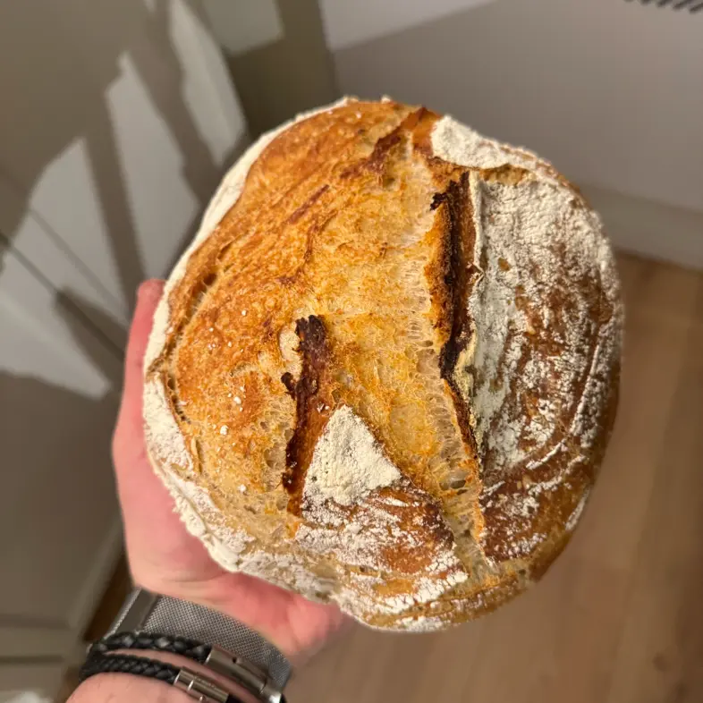 creation thumb for Sourdough Bread (no knead)