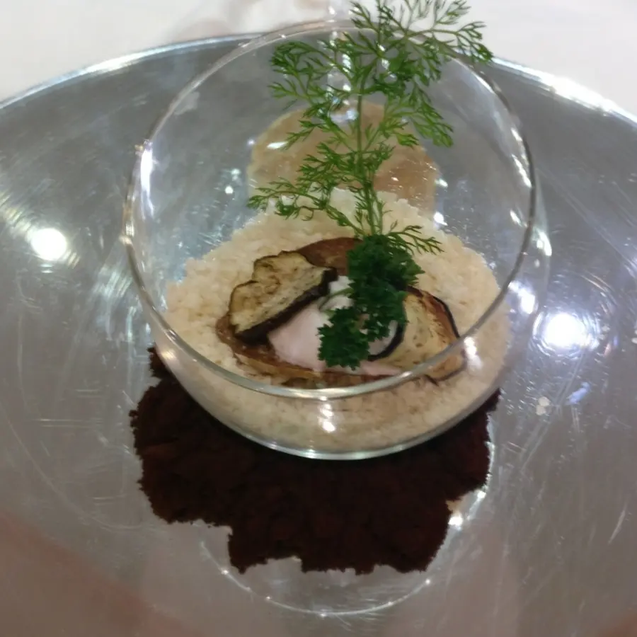 creation thumb for Vegetarian present: toasted rye bread, grilled eggplants , soft  cow chees foam and huge passion. Please enjoy