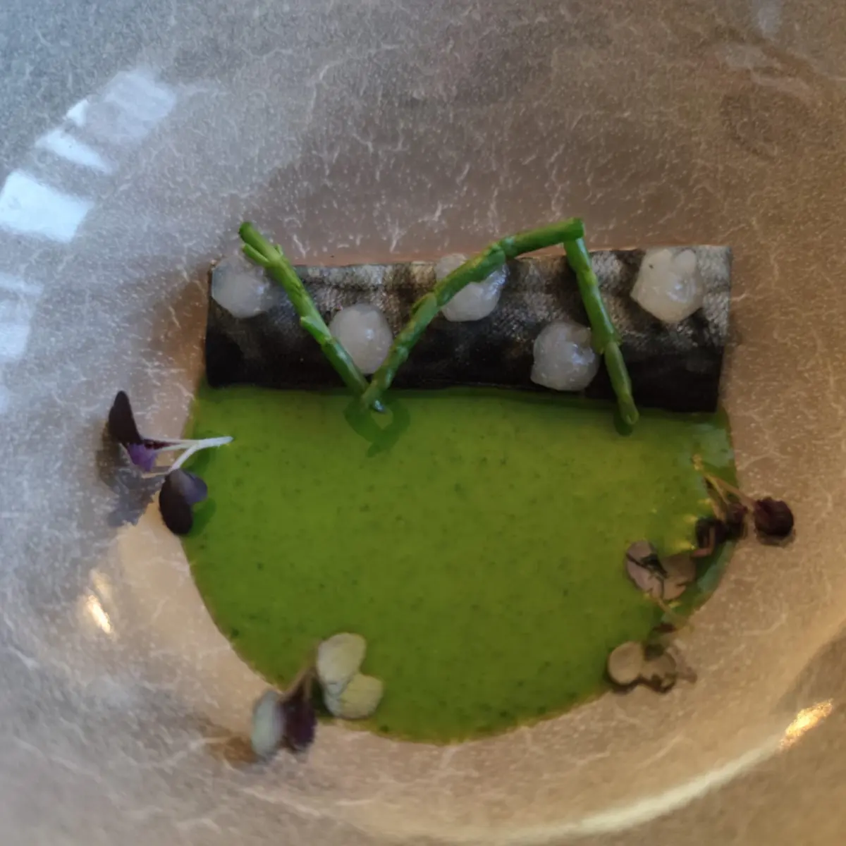 creation thumb for Zuppa fredda di lattuga, sgombro, gel di lime, salicornia