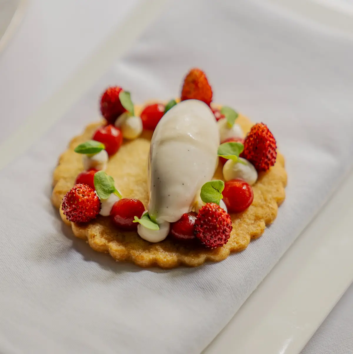 creation thumb for Frollini con gelato alla fava tonka e olio d'oliva