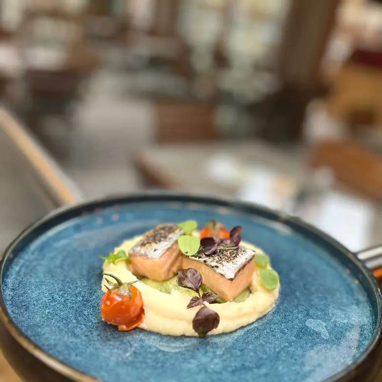 creation thumb for Salmon | Celery | cucumber | tomato