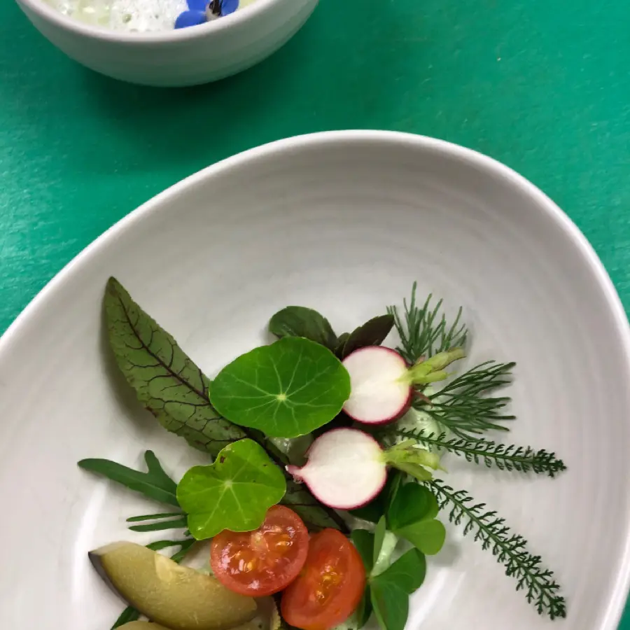 creation thumb for Colorful herb bed (amuse)