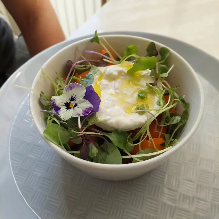 creation thumb for Ensalada informal de burrata