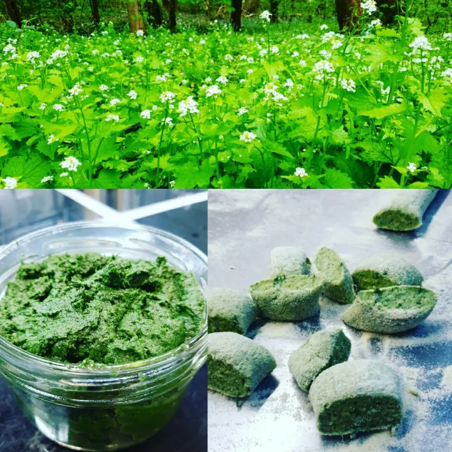 creation thumb for Gnocchi