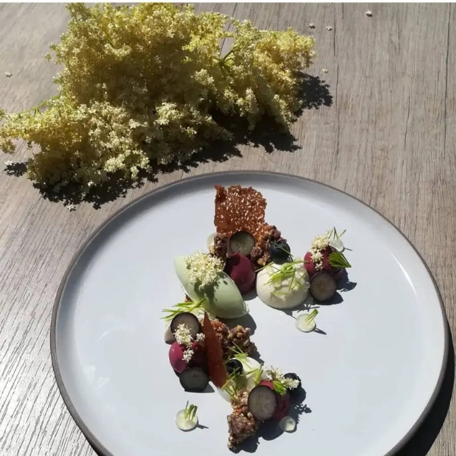 creation thumb for Holunder und Fichtensprossen als Dessert...