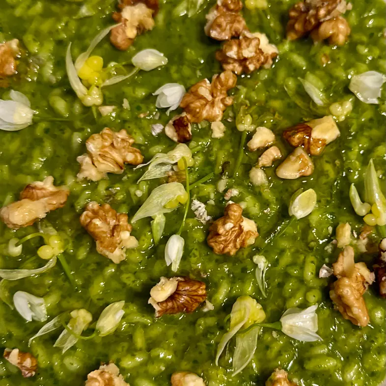 creation thumb for Vegan Ramson pesto risotto
