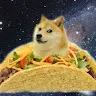 WusteMF 