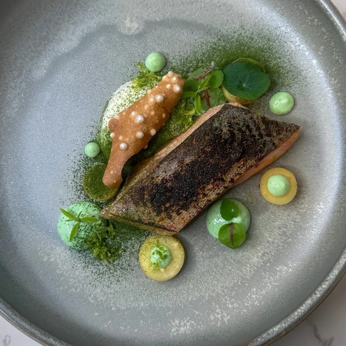 creation thumb for Saibling,Buttermilk-Dill Gel,Herb Powder,Cauliflower,Parsnip