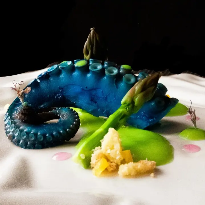 creation thumb for Blue Octopus and Asparagus. 🐙