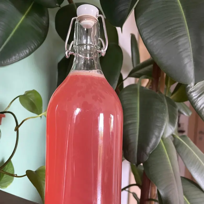 creation thumb for Probiotic Limonade 🥤