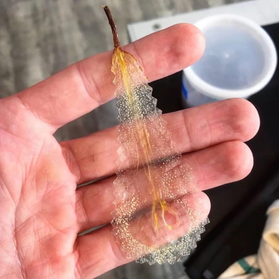 creation thumb for Dehydrated pear 🍐