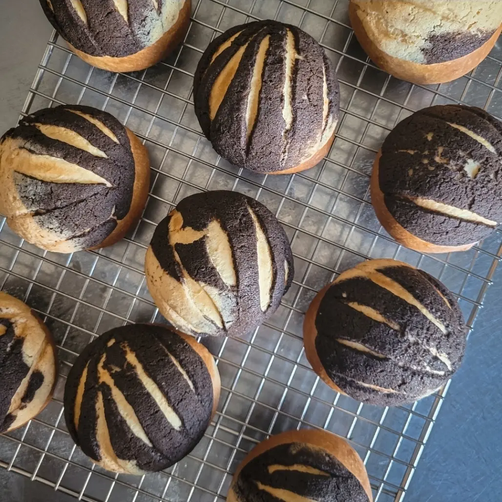 creation thumb for Conchas with Black Cocoa
