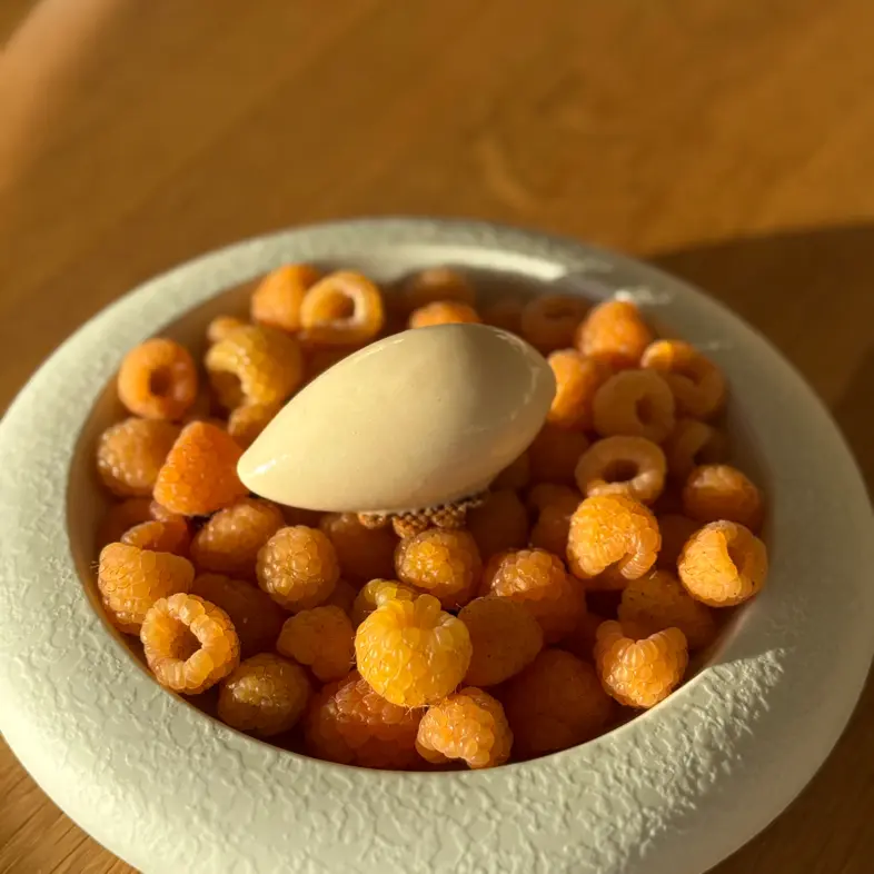 creation thumb for Yellow Raspberry Sorbet (Golden Everest) 