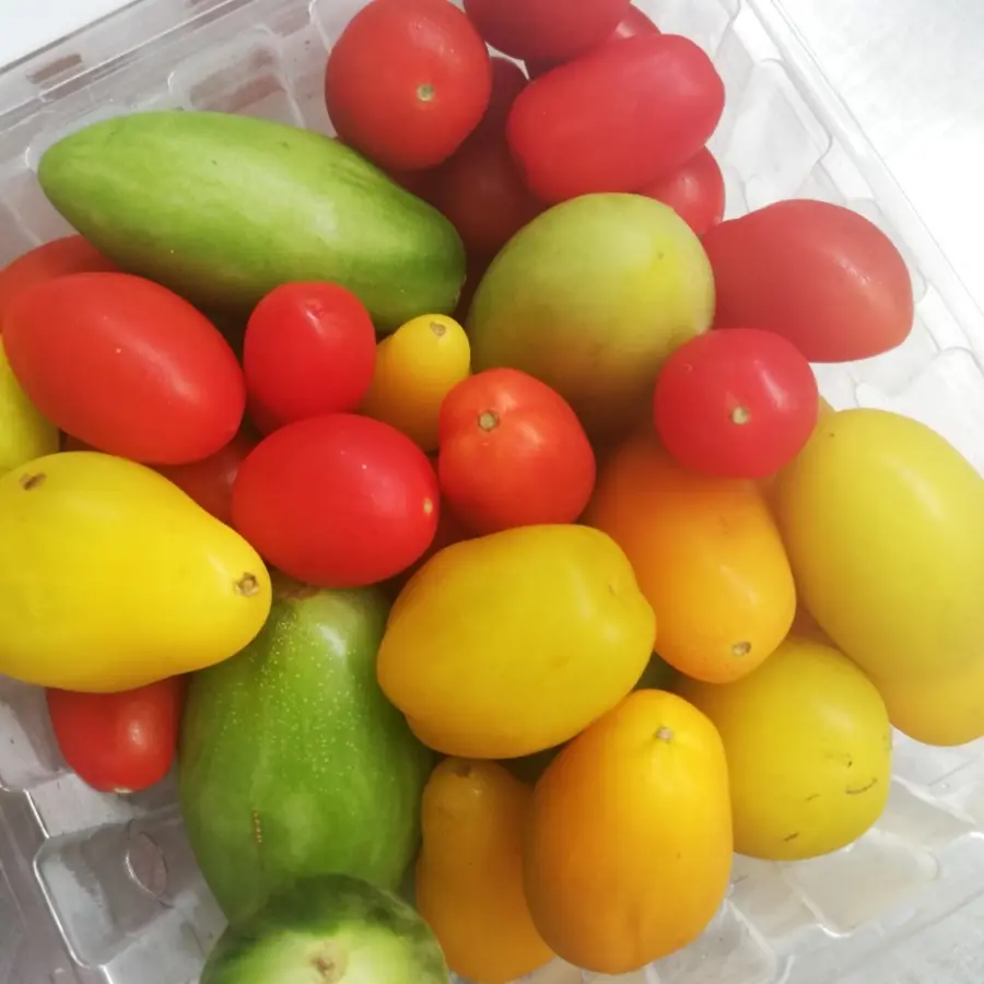 creation thumb for Cherry tomatoes