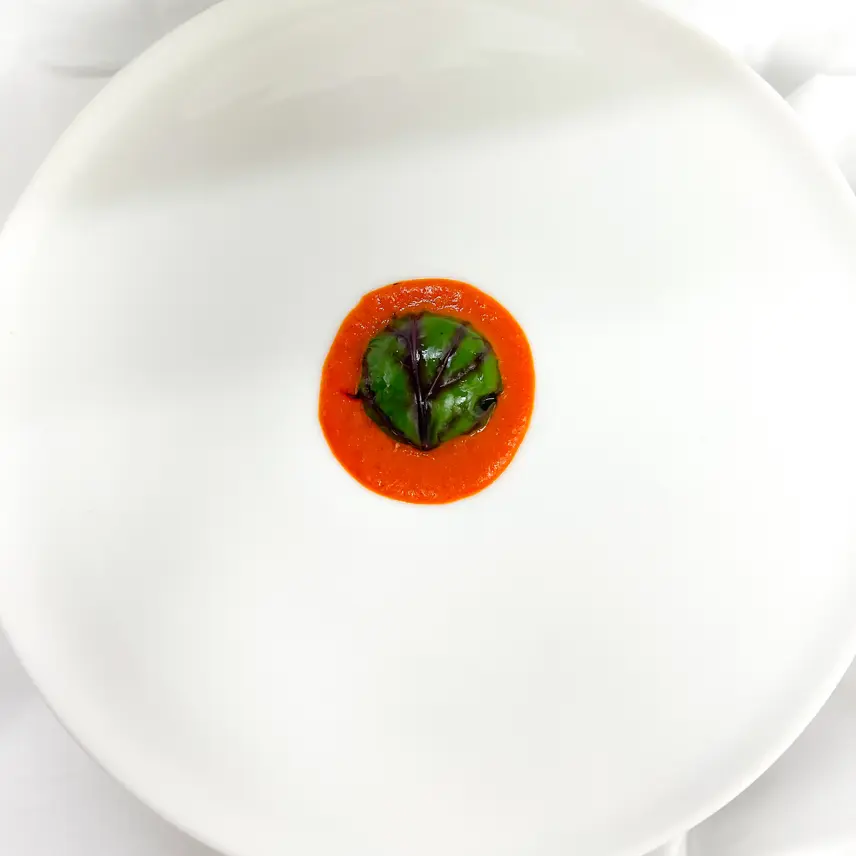 creation thumb for Red Pepper Coulis • Smoked Trout • Beet Leaf
