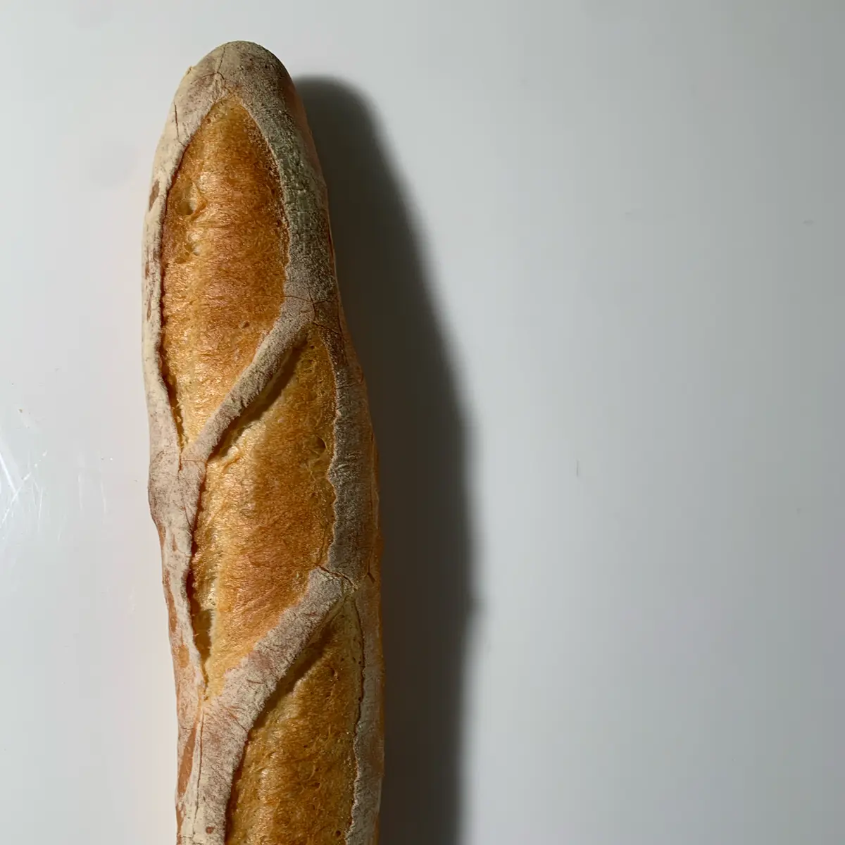 creation thumb for Baguette for sandwich