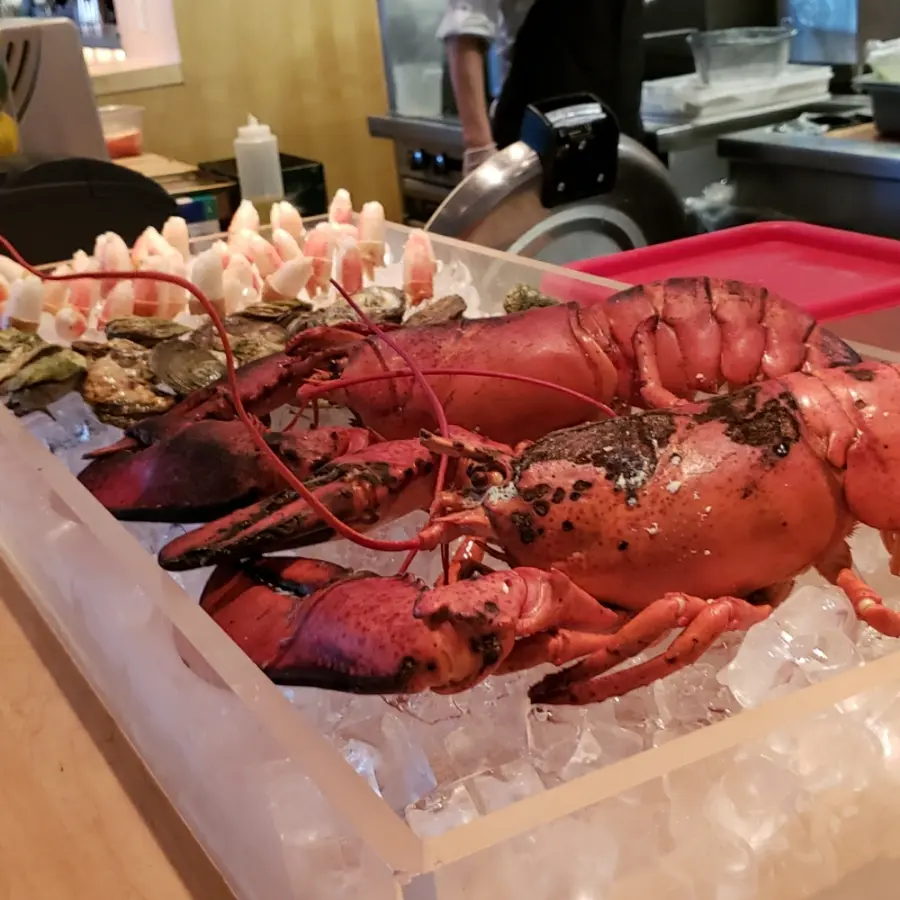 creation thumb for Lobster 🔪