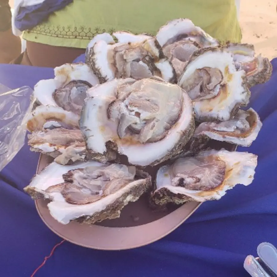 creation thumb for Oysters